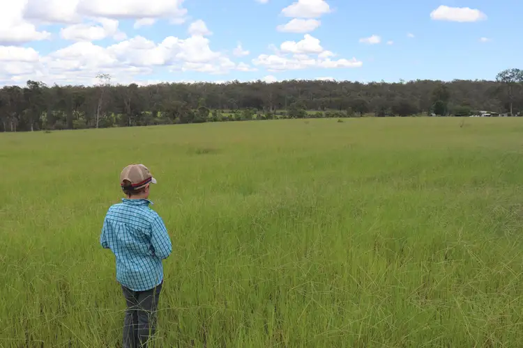 Main view of Homely rural property listing, 'Reece Park' 110 Greentree Lane, Beeron, Mundubbera QLD 4626