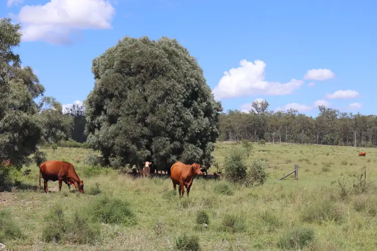 Fourth view of Homely rural property listing, 'Reece Park' 110 Greentree Lane, Beeron, Mundubbera QLD 4626
