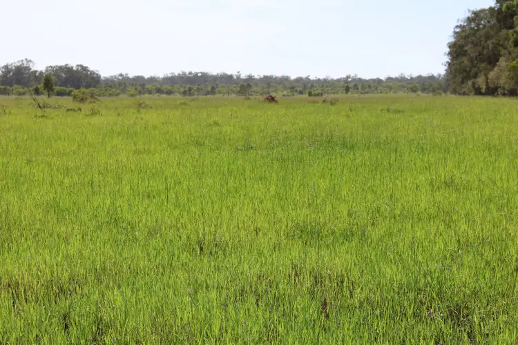 Fifth view of Homely rural property listing, 'Reece Park' 110 Greentree Lane, Beeron, Mundubbera QLD 4626