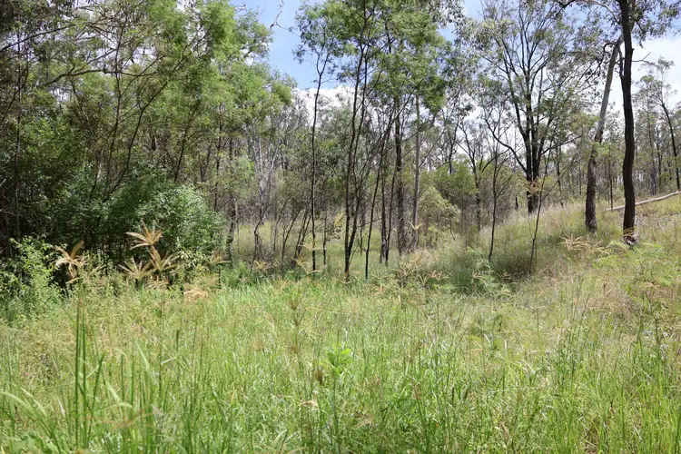 Seventh view of Homely rural property listing, 'Reece Park' 110 Greentree Lane, Beeron, Mundubbera QLD 4626