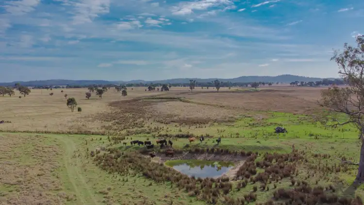 Sixth view of Homely rural property listing, Lot 1 Springs Road, Greymare QLD 4370