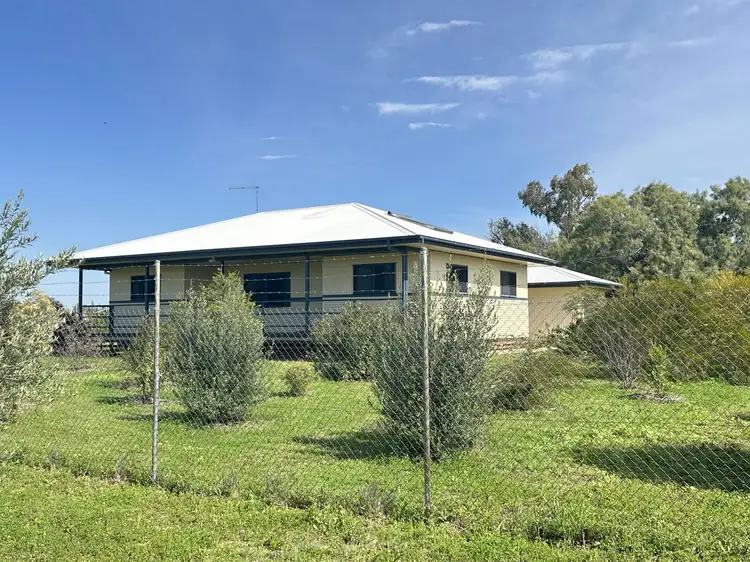 Fifth view of Homely rural property listing, 48 Bingara Road, Moree NSW 2400