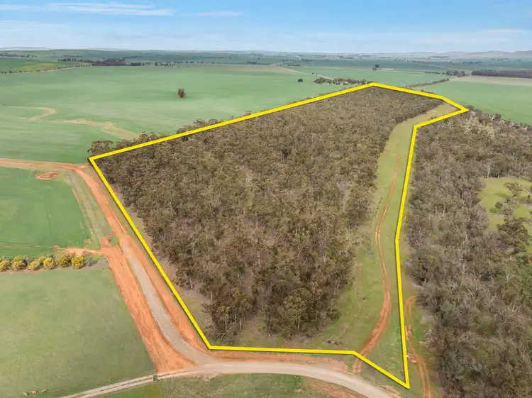 7453 Booborowie Road, Leighton SA 5417