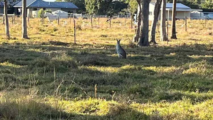 Seventh view of Homely land listing, Lot 41 Hans Christian Street, Sarina QLD 4737