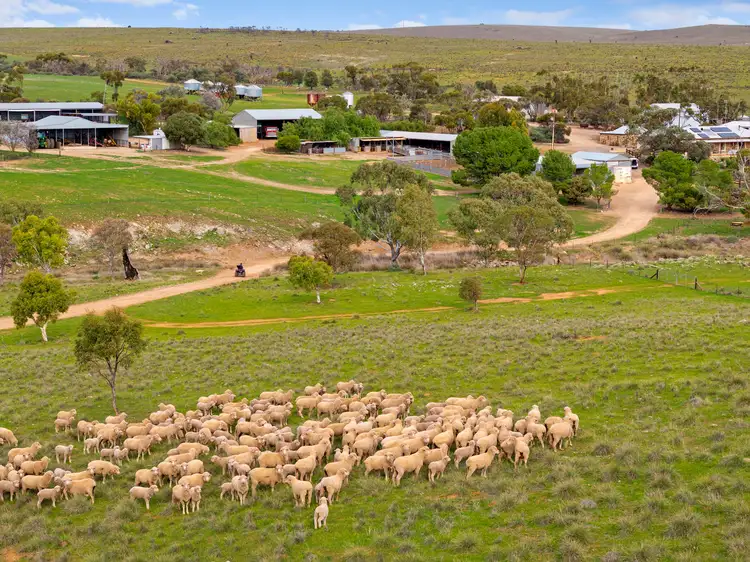 Main view of Homely rural property listing, 'Waterfalls' 264 Waterfalls Road, Dutton East SA 5356