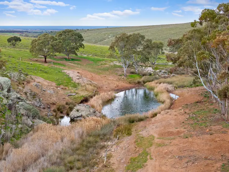 Second view of Homely rural property listing, 'Waterfalls' 264 Waterfalls Road, Dutton East SA 5356