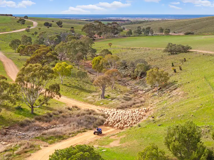 Fourth view of Homely rural property listing, 'Waterfalls' 264 Waterfalls Road, Dutton East SA 5356