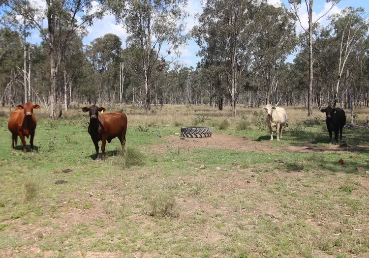 Lot D Mundubbera Durong Road