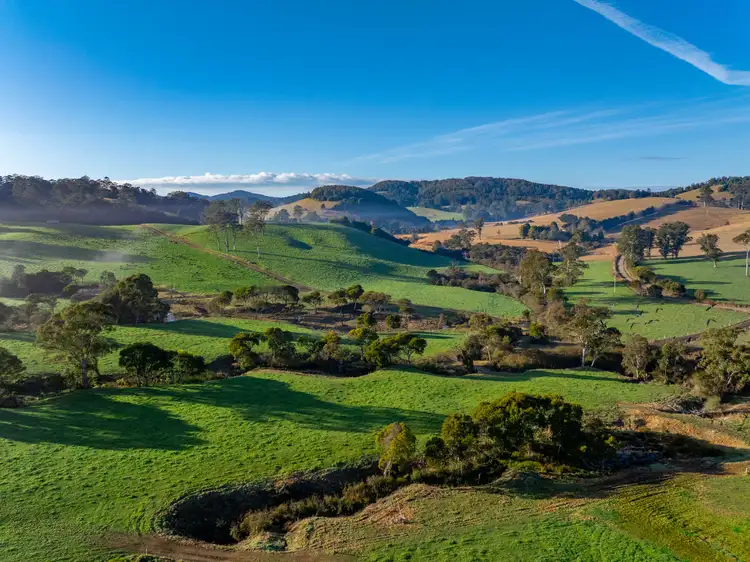 1431 Coramba Road, Dorrigo NSW 2453