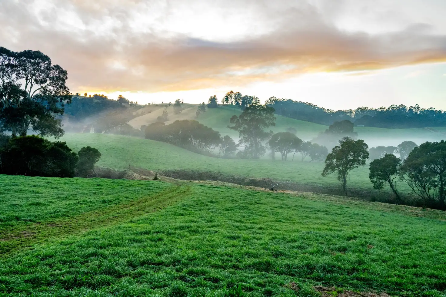 Main view of Homely rural property listing, 1431 Coramba Road, Dorrigo NSW 2453