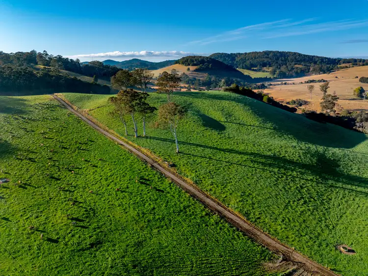 Third view of Homely rural property listing, 1431 Coramba Road, Dorrigo NSW 2453