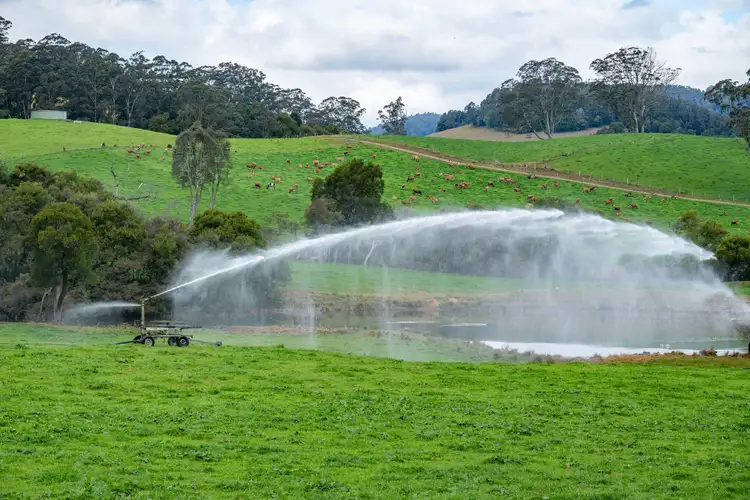 Fourth view of Homely rural property listing, 1431 Coramba Road, Dorrigo NSW 2453