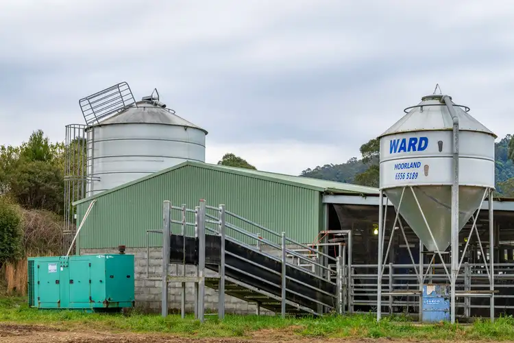 Fifth view of Homely rural property listing, 1431 Coramba Road, Dorrigo NSW 2453