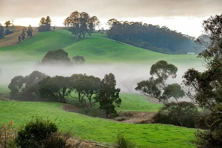Seventh view of Homely rural property listing, 1431 Coramba Road, Dorrigo NSW 2453