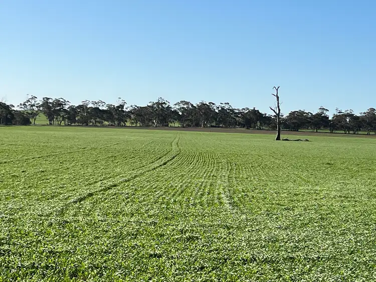 Main view of Homely rural property listing, Section 327 Champness Road, Mundulla West SA 5270
