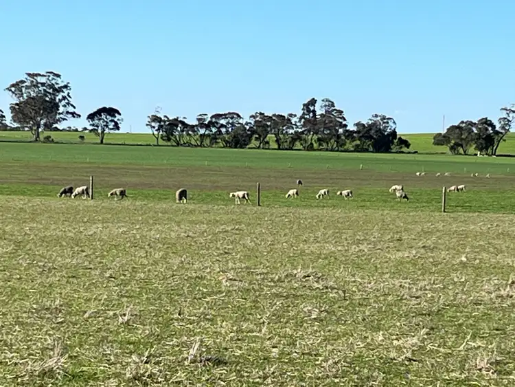 Sixth view of Homely rural property listing, Section 327 Champness Road, Mundulla West SA 5270