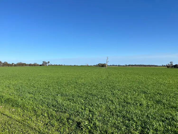 Seventh view of Homely rural property listing, Section 327 Champness Road, Mundulla West SA 5270
