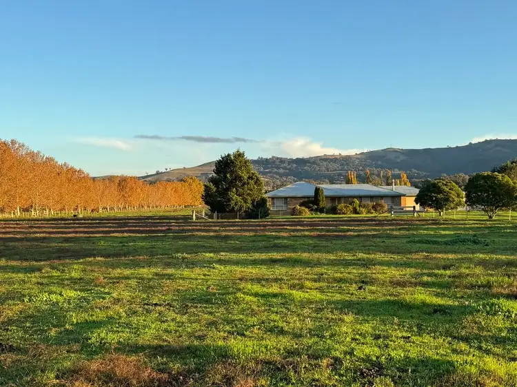 "Inglewood" 5985 New England Highway, Murrurundi NSW 2338
