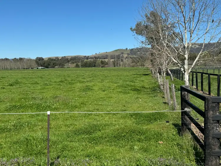 Seventh view of Homely rural property listing, "Inglewood" 5985 New England Highway, Murrurundi NSW 2338