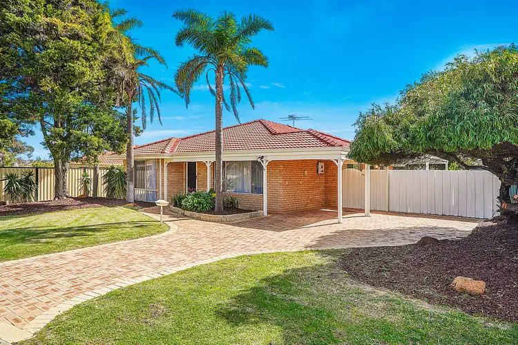 Third view of Homely house listing, 17 Pitchford Glade, Clarkson WA 6030
