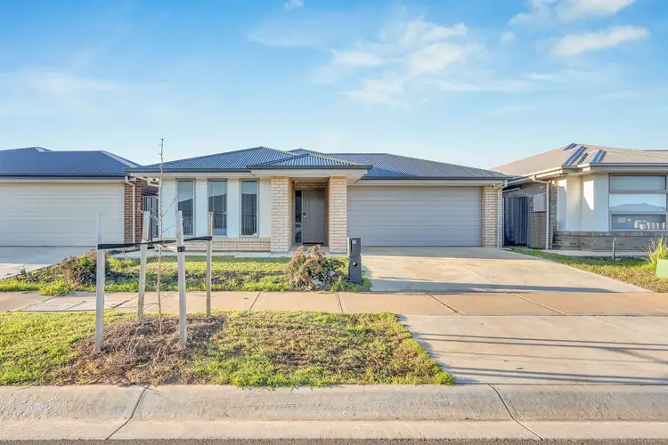 15 Ornata Street, Munno Para SA 5115