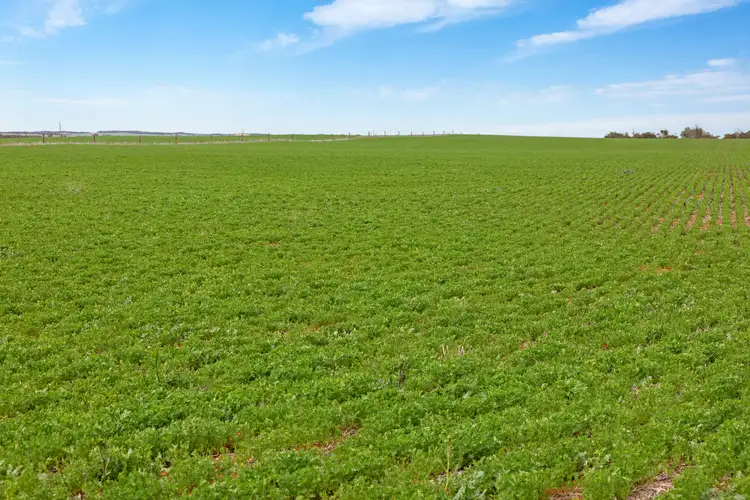 Main view of Homely rural property listing, 'Huxtables' Pilchera Bore Road, Borrika SA 5309