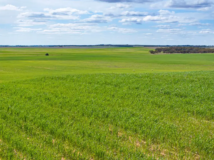 Second view of Homely rural property listing, 'Huxtables' Pilchera Bore Road, Borrika SA 5309