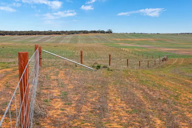 Seventh view of Homely rural property listing, 'Huxtables' Pilchera Bore Road, Borrika SA 5309