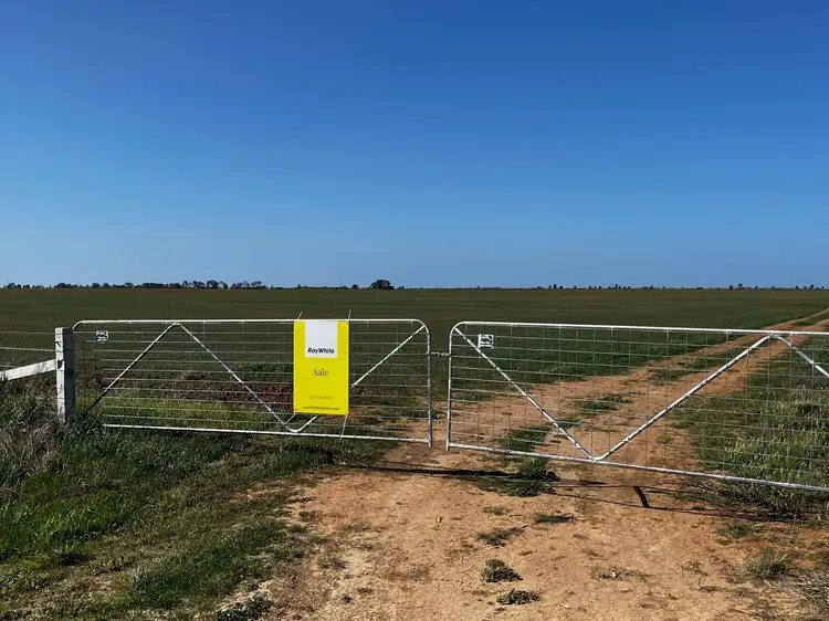 Main view of Homely rural property listing, _ Gillies Road, Beauchamp VIC 3579