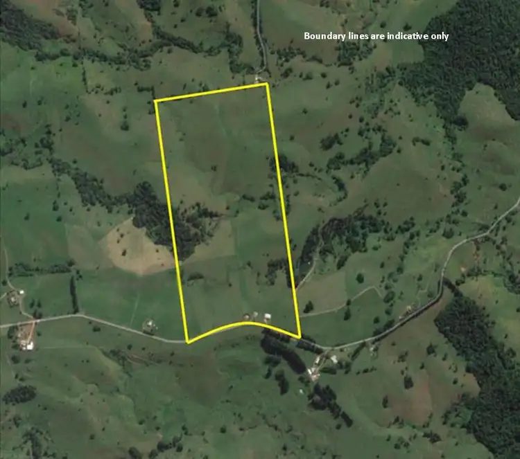 Second view of Homely rural property listing, 210 Pheasant Road, Millaa Millaa QLD 4886