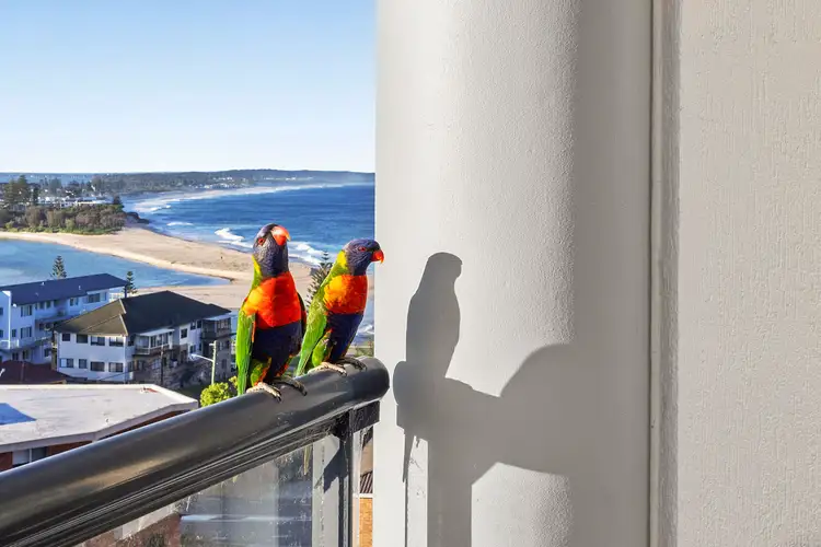 Sixth view of Homely unit listing, 29/46-50 Dening Street, The Entrance NSW 2261