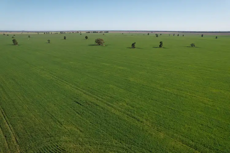 Third view of Homely rural property listing, 762 Cornells Road, Condobolin NSW 2877