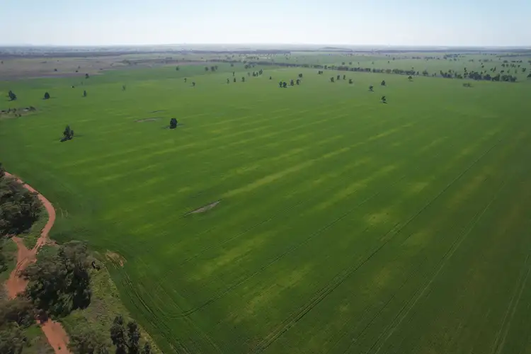 Fifth view of Homely rural property listing, 762 Cornells Road, Condobolin NSW 2877