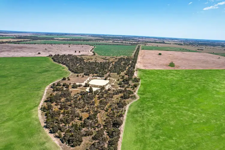 Second view of Homely rural property listing, 3195 Hoadleys Road, Moonie QLD 4406