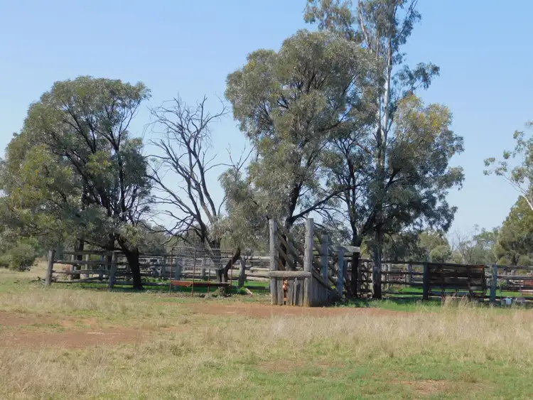 Fifth view of Homely rural property listing, 3195 Hoadleys Road, Moonie QLD 4406