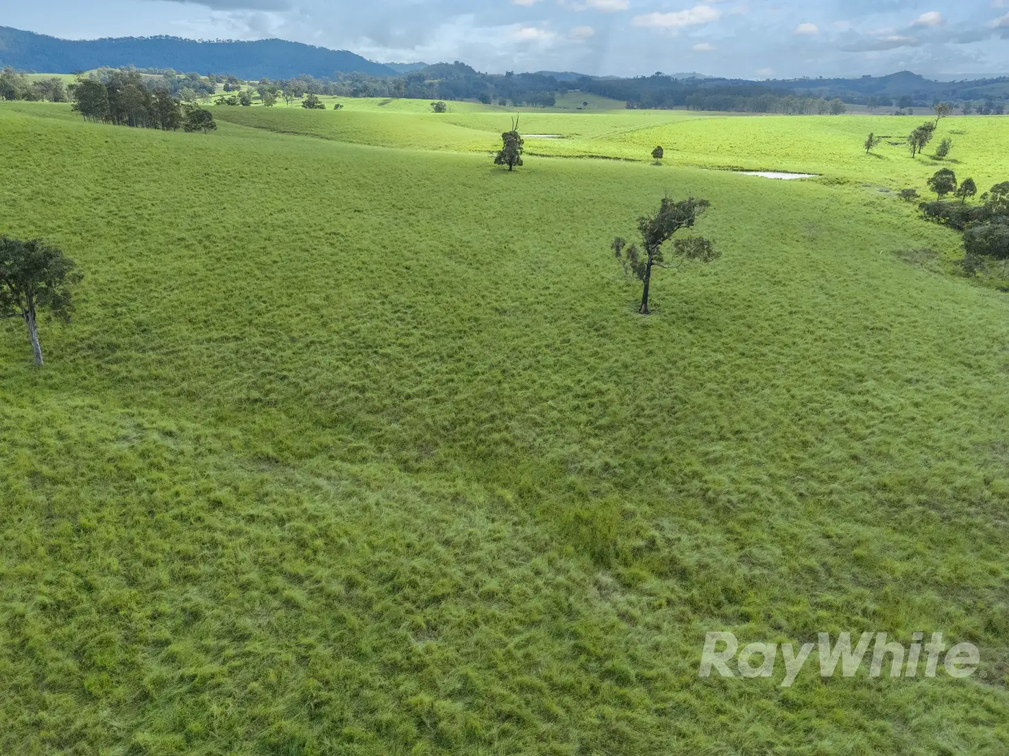 Main view of Homely rural property listing, 4469 Clarence Town Road, Dungog NSW 2420