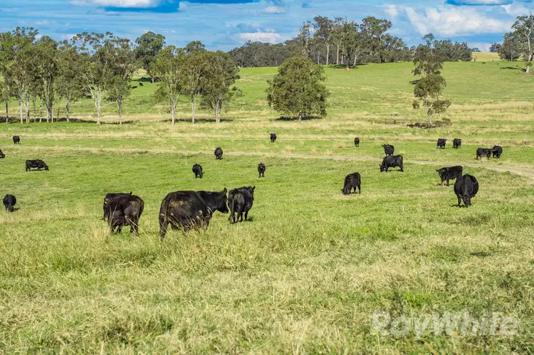Third view of Homely rural property listing, 4469 Clarence Town Road, Dungog NSW 2420