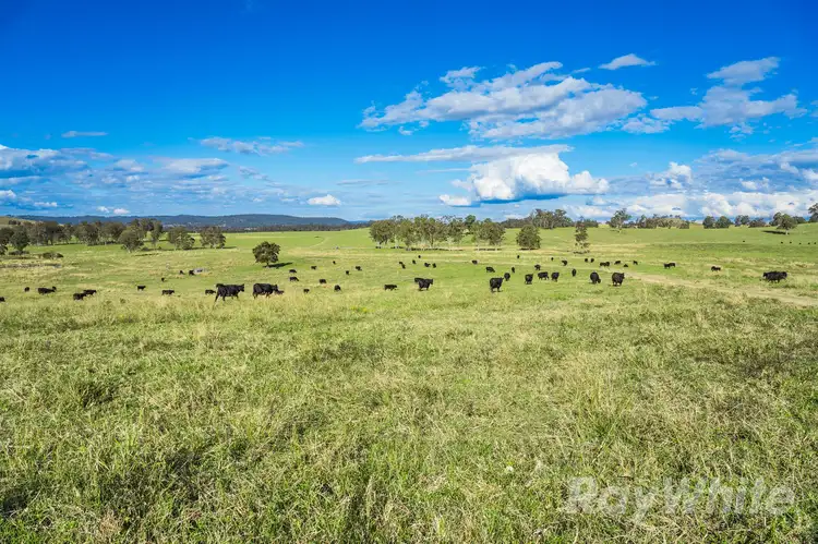 Fourth view of Homely rural property listing, 4469 Clarence Town Road, Dungog NSW 2420