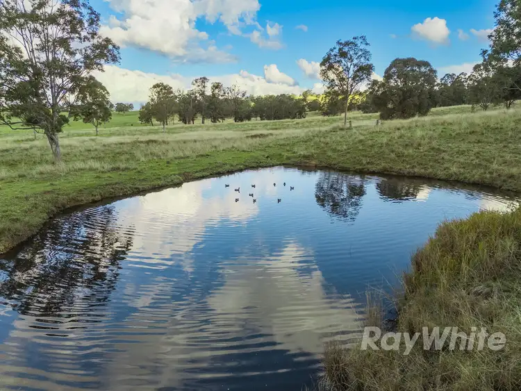 Sixth view of Homely rural property listing, 4469 Clarence Town Road, Dungog NSW 2420