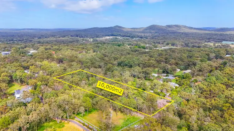 Main view of Homely house listing, 95 Warriewood Street, Chandler QLD 4155