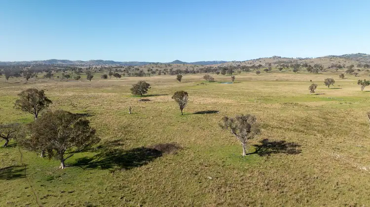 Main view of Homely rural property listing, Lot 22 Reids Road, Yarrowyck NSW 2358