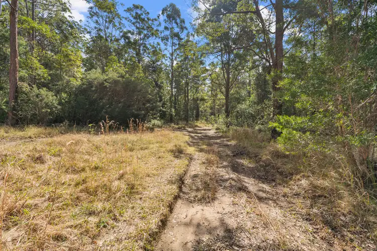 Sixth view of Homely land listing, 49 George Street, Glenreagh NSW 2450