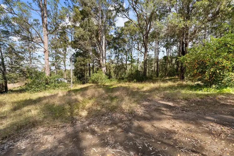 Seventh view of Homely land listing, 49 George Street, Glenreagh NSW 2450