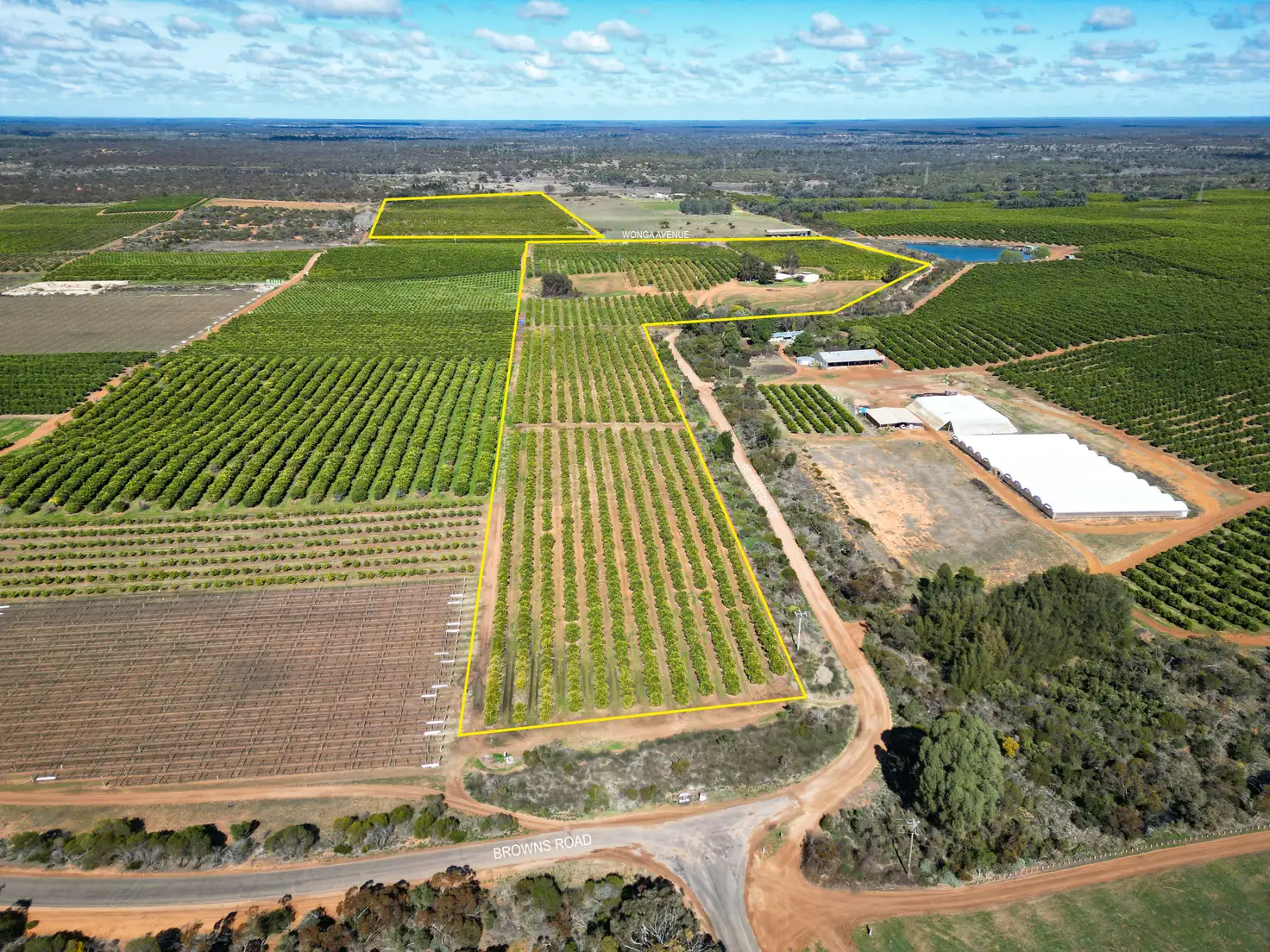 Main view of Homely rural property listing, 45 Regent Drive, Colignan VIC 3494