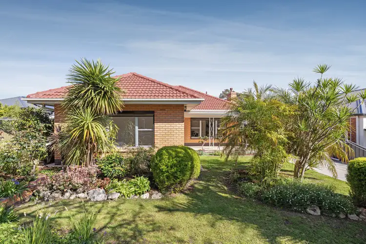 20 Cheviot Avenue, Lower Mitcham SA 5062
