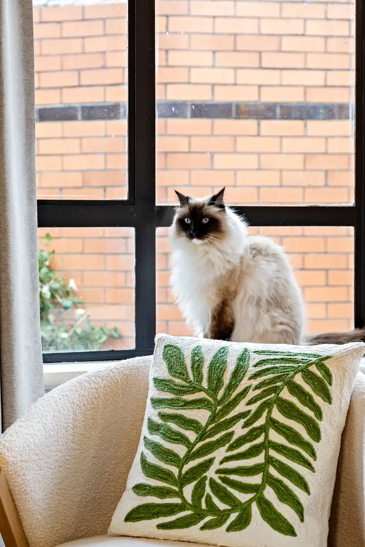 Fourth view of Homely house listing, 1 Osullivan Court, Fawkner VIC 3060