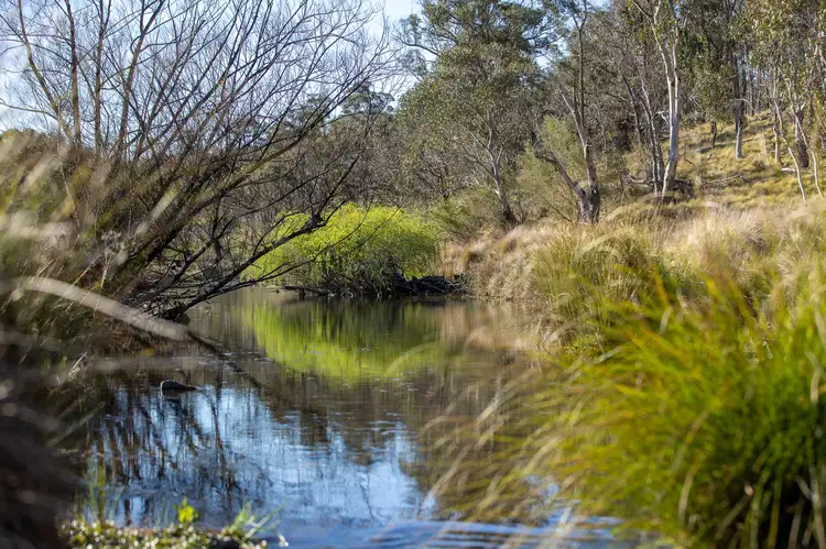 Fifth view of Homely rural property listing, 3473 Rockvale Road, Armidale NSW 2350