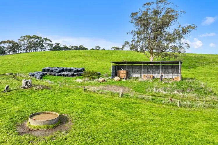 Fifth view of Homely rural property listing, 205 Sheehans Road, Hallora VIC 3818