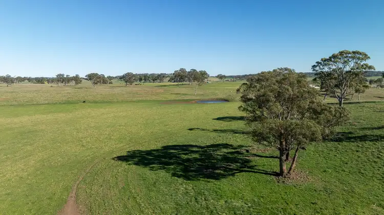 5016 New England Highway, Guyra NSW 2365