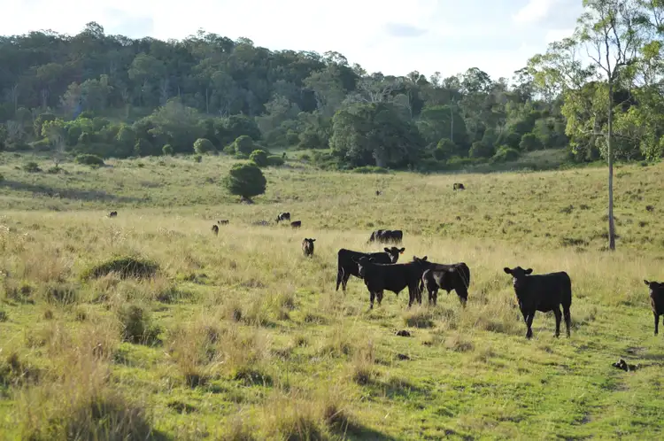 Sixth view of Homely rural property listing, 2/125 Back Creek Road, Cooyar QLD 4402